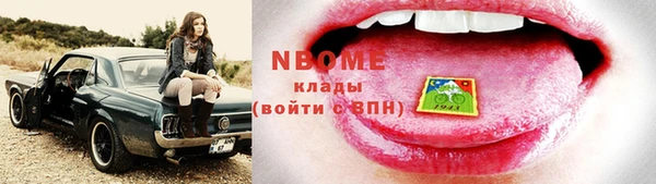 индика Михайлов