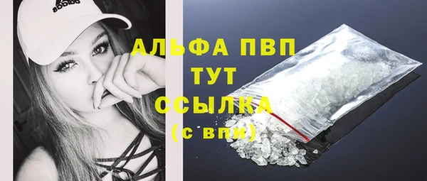 индика Михайлов