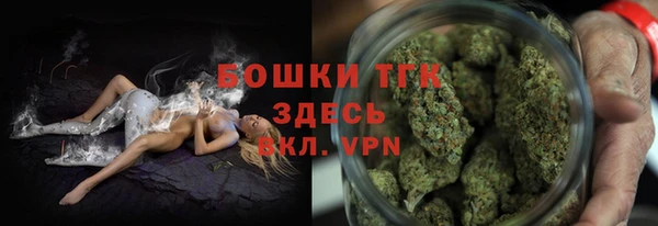 индика Михайлов