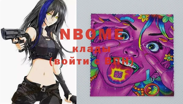 индика Михайлов