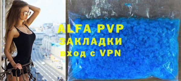 индика Михайлов