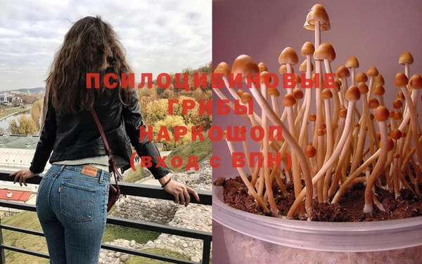 мескалин Михайловка