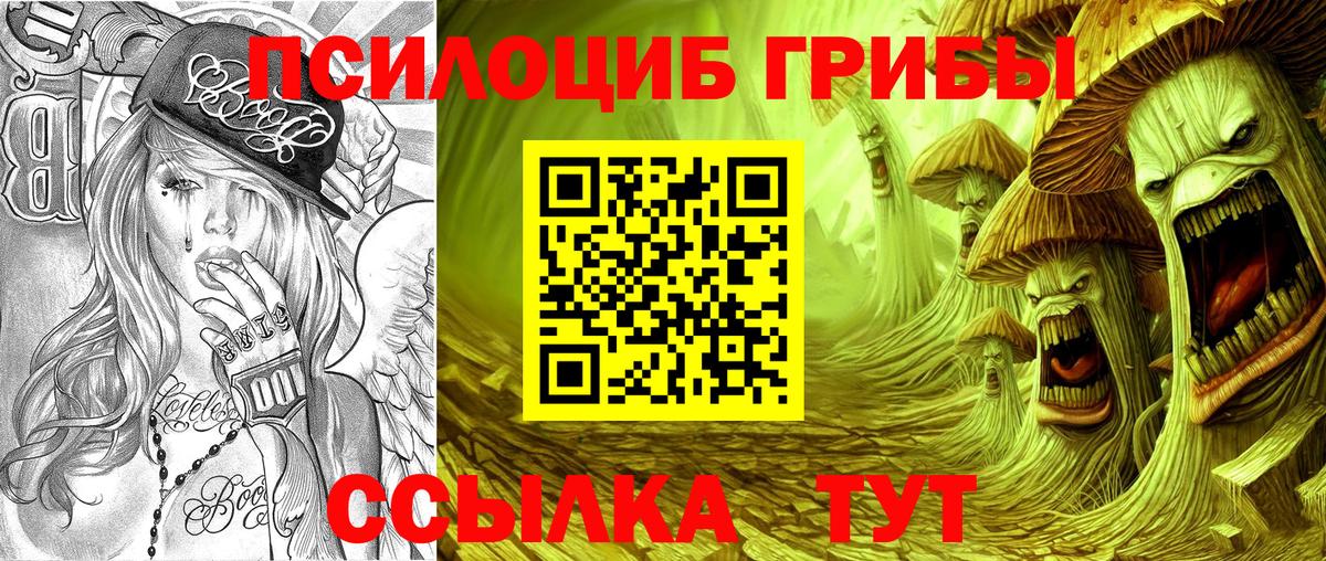 Галлюциногенные грибы Magic Shrooms Тавда