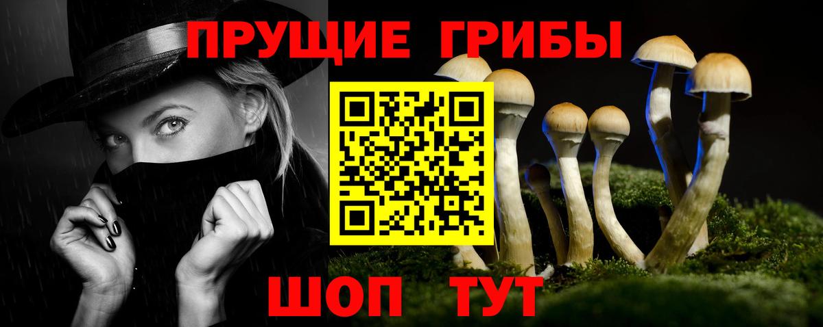 Псилоцибиновые грибы мухоморы  Вход с VPN  Галлюциногенные грибы прущие грибы  Тавда 