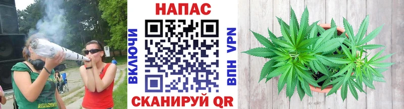 купить наркоту  Тавда  kraken сайт  Шишки марихуана Ganja 